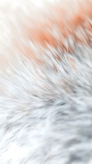 Dreamy abstract waves photo