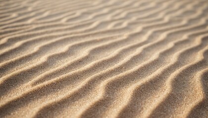 Fototapeta premium Ripples in the sandy desert dunes