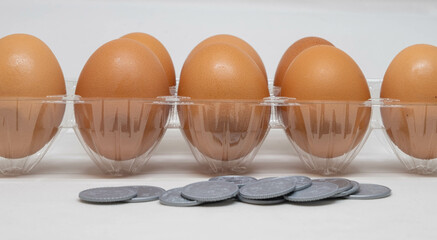 Eggs with coins in front of them representing expensive eggs.