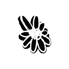 Hand drawn black ink abstract daisy flower silhouette isolated on white background. Monochrome scribble style bloom. Sketchy minimalist floral design.