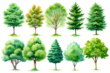 Fototapeta premium Watercolor Tree Collection. Nature's Palette of Green