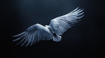 Obraz premium Majestic Wings of a Bird in Flight
