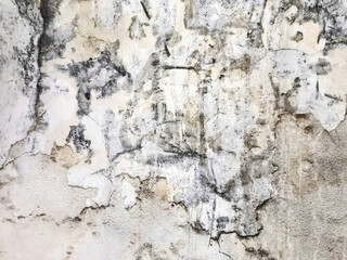 White wall with crack lines and peeling paint in the background.