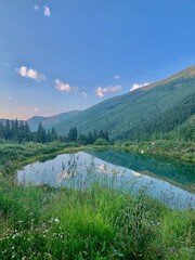 Aspen Colorado nature photo with vibrant green mountains, wildflowers, a peaceful pond