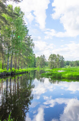 Calm lake with trees in the background