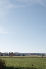 Obraz premium Blue sky and beautiful cloud with meadow tree. Plain landscape background for summer poster. The best view for holiday.