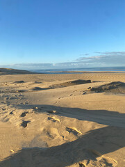 Sand dunes in the desert at sunrise, bathed in warm golden light. The soft curves of the dunes create a mesmerizing landscape, with long shadows adding depth and texture