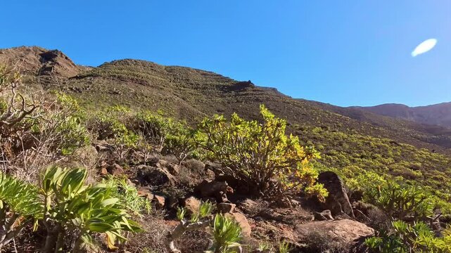 schroffe Berggipfel unter blauem Himmel, Sonne, idyllische Berge, Berghang, Lanzarote, Kanaren, Wandern, Flora, Natur, einsam, ruhig, Pfad, steinig, h&uuml;gelig, Landschaft
