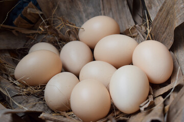 Several fresh organic chicken eggs in the hay. closeup