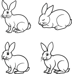 A beautiful rabbit line art collection. This vector artwork is perfect for children's coloring books, digital designs, t-shirts and branding etc. Ideal  for wildlife lovers and artistic projects.