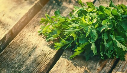 fresh parsley bunch on rustic wooden table in natural sunlight for culinary or herbal presentation design
