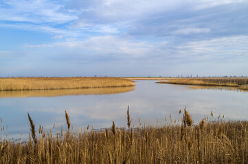 Fototapeta premium Tranquil Marsh Reflections