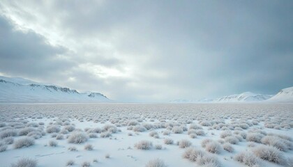 Snowy Mountains with Sparse Vegetation