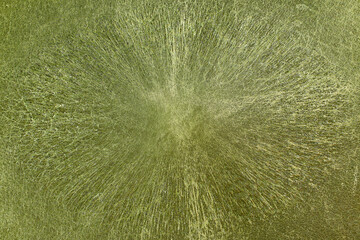 Beautiful green background with leather texture