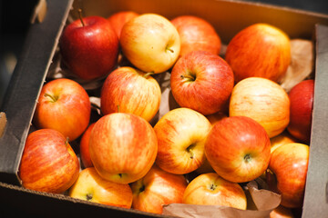 Fresh apples neatly packed in black cardboard boxes, ready for transportation or sale. Warm lighting highlights the natural colors of the fruit. A perfect image for agriculture, food supply, and marke