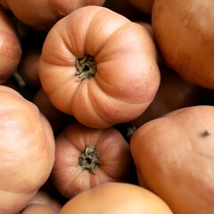 onions in the basket