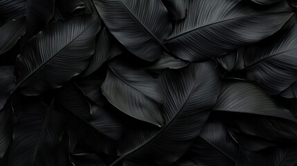 Obraz premium Dark Tropical Banana Leaves in Textured Background for Nature and Design Applications