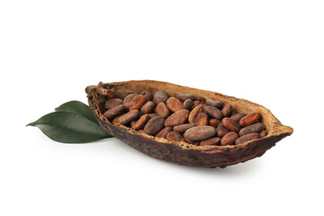 Cocoa pod with beans and leaves isolated on white