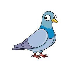 vector illustration of a pigeon