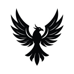 Obraz premium eagle with wings