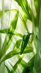 Obraz premium Light filtering through green leaves creates a serene and calming atmosphere in a room decorated with plants