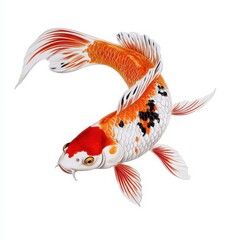 Colorful Koi Fish Swimming Gracefully in Clear Water Background