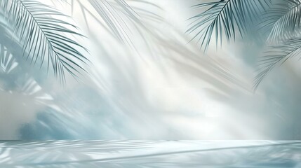 Elegant tropical palm leaves with soft light reflections on a dreamy misty background in a tranquil atmosphere
