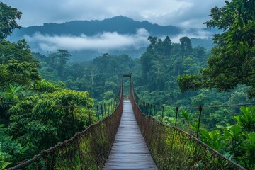 Wooden bridge stretches through dense rainforest with misty mountains in view