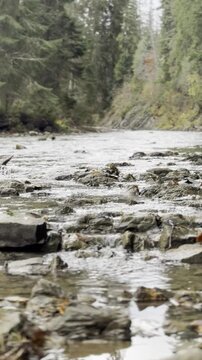 Flowing river over rocky terrain in a serene forest