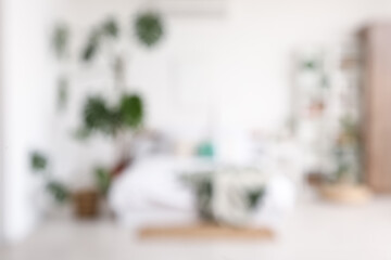 Monstera houseplants in interior of bedroom. Blurred view