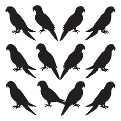 Obraz premium Parrot silhouettes set bird pack of vector silhouette design