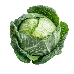 cabbage isolated on white background