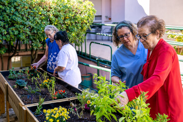 Seniors engaging in therapeutic gardening activity