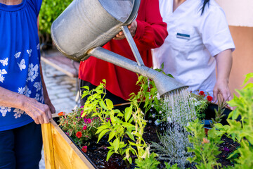 Elderly care residents engaging in gardening activity