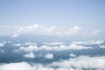 Mountain landscape. foggy morning. High angle view of trees in forest during foggy weather. Beautiful mountain and cloud natural landscape at sunrise in Thailand. evergreen coniferous forest in fog.