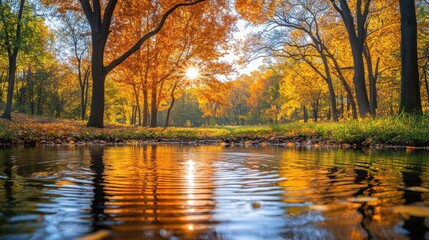 Fototapeta premium Autumn sunset over calm pond in park