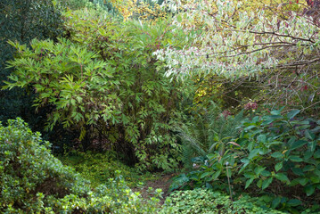 Obraz premium Les Jardins de Castillon Plantbessin, Castillon , 14, Calvados, France