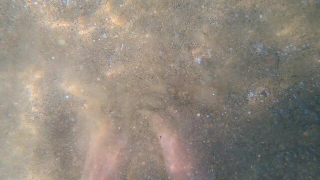 Woman digging her feet in the sand underwater. Female feet burying into sand underwater close-up. Barefoot in the sandy bottom. Enjoyment rest relax. Tactility, touch