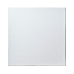 White canvas panel 