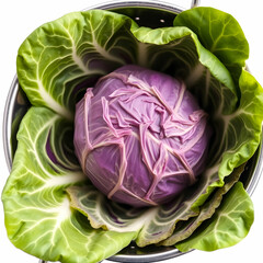 Obraz premium A delicious organic cabbage in stainless steel colander isolated on the background