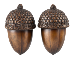 Isolated Pair of Bronze Acorns with Detailed Texture