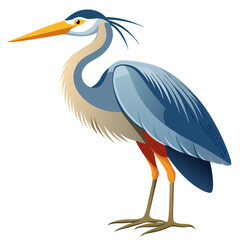 Herons on white background.