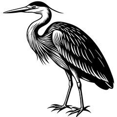 Herons silhouette vector on white background.