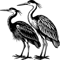 Herons silhouette vector on white background.