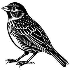 Obraz premium Song birds silhouette vector on white background.
