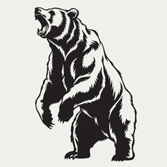 Bear Silhouette Draw Animal