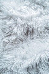 Obraz premium A close up of a fluffy white fur, possibly a sheep's wool
