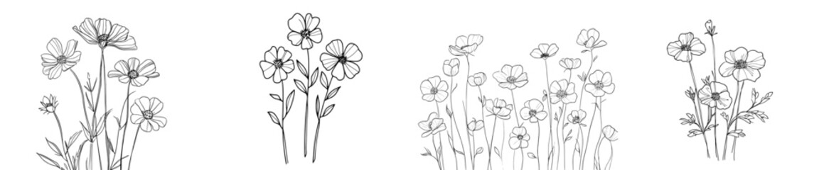 Hand-drawn collection of wildflowers, isolated against a white background