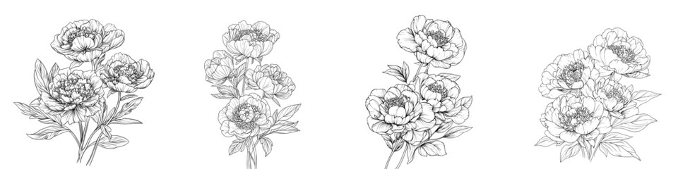 Peony flower and leaves drawing, a modern hand-drawn engraved floral card featuring a botanical rose, branch, and berry in black ink sketch. Perfect for tattoos, invitations, greeting cards, and © Andrei