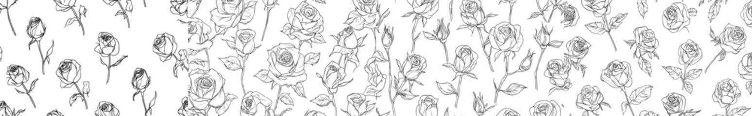 Abstract seamless pattern featuring roses. Beautifully hand-drawn blossoms on a white background. Line art style wallpaper. Modern stock illustration